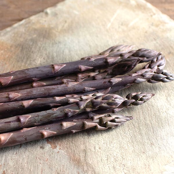 Asparagus Seeds Etsy
