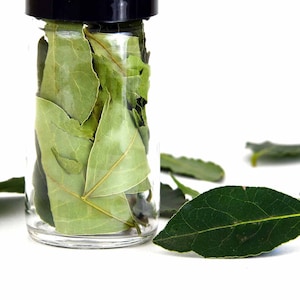 Organic Dried Bay Leaf Culinary Herb, Whole Bay Leaf Cooking Herb, Sustainably Grown & Dried, Gourmet Ingredients, Glass Jar, Farm to table