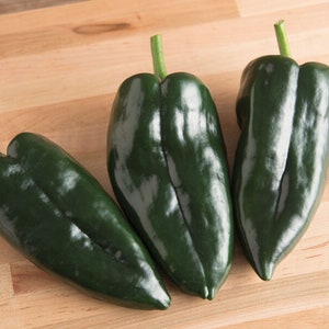 May include: Three dark green poblano peppers on a light brown wooden surface.