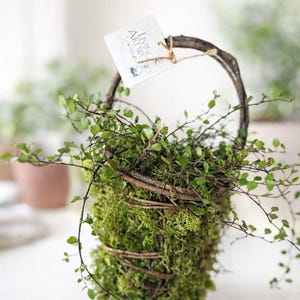 May include: A handcrafted basket planter filled with vibrant green moss and delicate leafy branches. The basket is made of woven twigs and features a curved handle. A small tag with the text "LIVING ARTWORKS" is attached to the handle with twine.