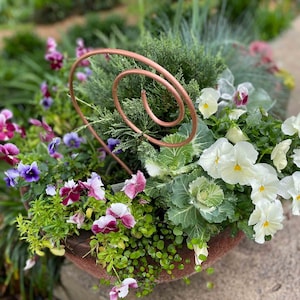 Curvy Garden Plant Trellis, Multi-Use Decorative Vine Trellis, Plant Support, Flower Supports