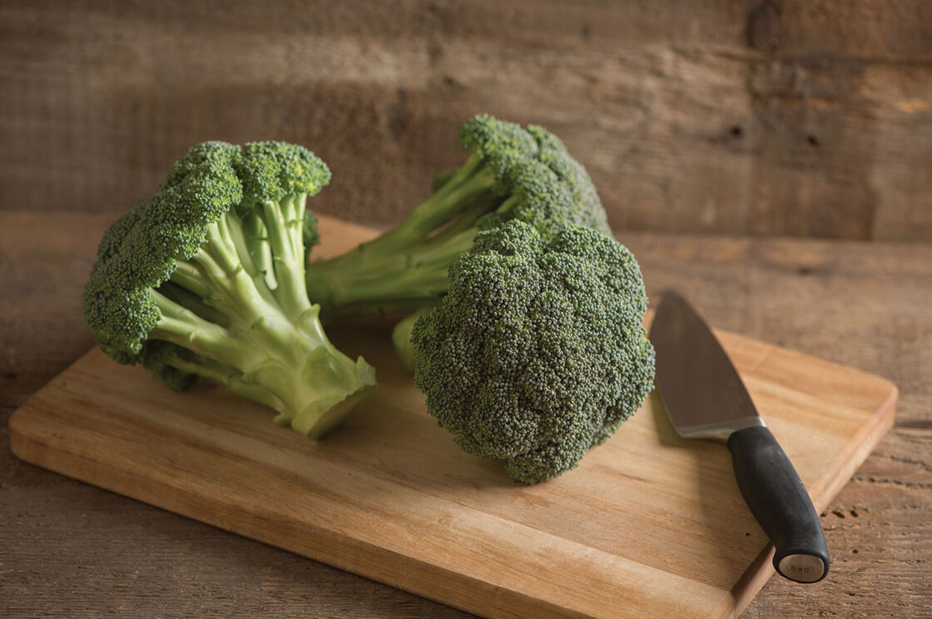 Broccoli Seeds Standard Head Heat Tolerant Cool Season Etsy
