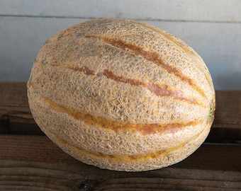 Semillas de melón Hanna's Choice: melón dulce, para jardín (7 semillas)