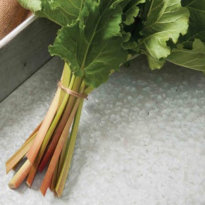 Rhubarb Seeds, Rheum rhabarbaraum, Growing and Cooking Rhubarb