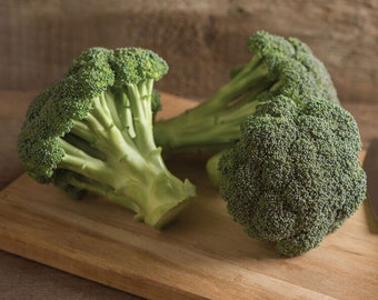 Semillas de brócoli Green Magic: resistentes al calor, cabeza estándar