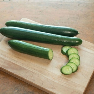 Unagi Cucumber Seeds, Long Asian Cross Cucumber Plant, Exceptional Eating Quality Cucumbers with Long, Straight Fruit