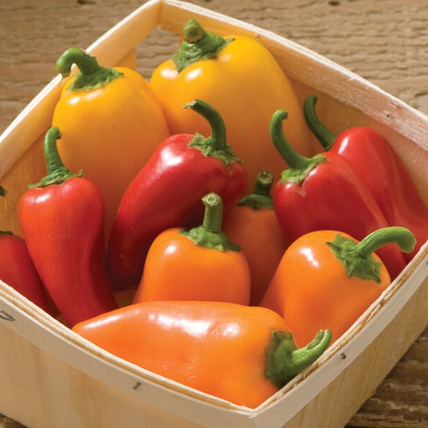 Pepper Seeds, Sweet Peppers Colorful Mix, Red, Yellow & Orange Snacking Size Peppers