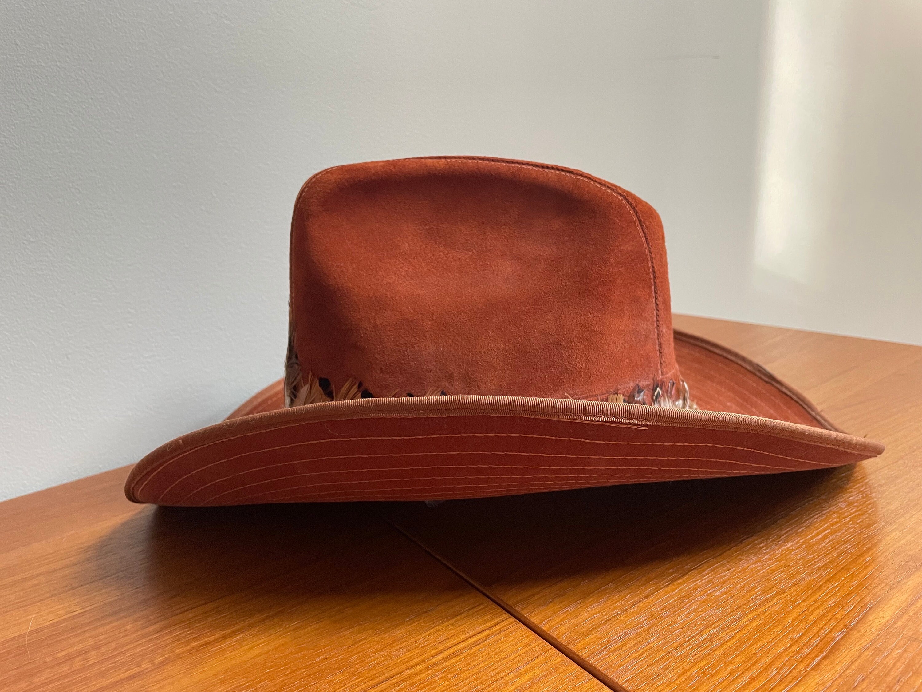 Vintage Hush Puppies Brown Western Suede Feather Cowboy Hat  display picture 1