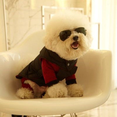 Tineer Winter Warm Dog Cat Down Jacket Vest Coat Puppy Pet Cold Weather  Cozy Coats Apparel for Small Medium Pet (M,Black)