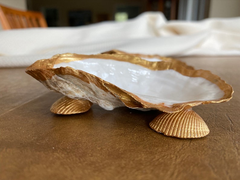 Variety Oyster Shell Ring/jewelry Holders Etsy