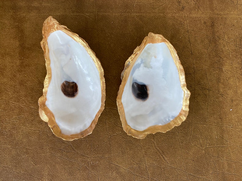 Variety Oyster Shell Ring/jewelry Holders Etsy