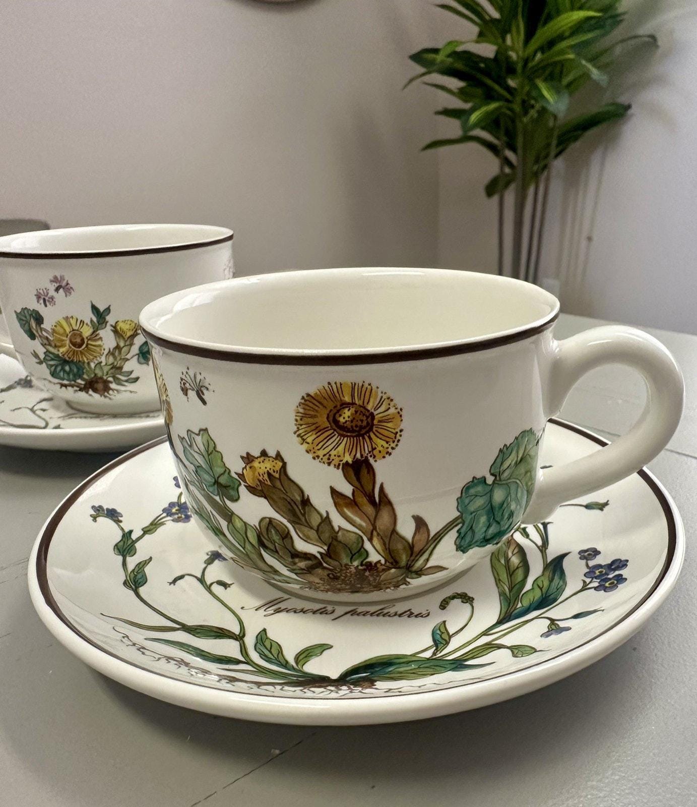 Villeroy and Boch Botanica - Etsy