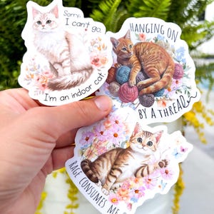 Paquete de pegatinas divertidas de gatos / Juego de 3 pegatinas de vinilo mate impermeables -> Pegatinas con frases sarcásticas para portátiles y botellas de agua, regalo para amantes de los gatos