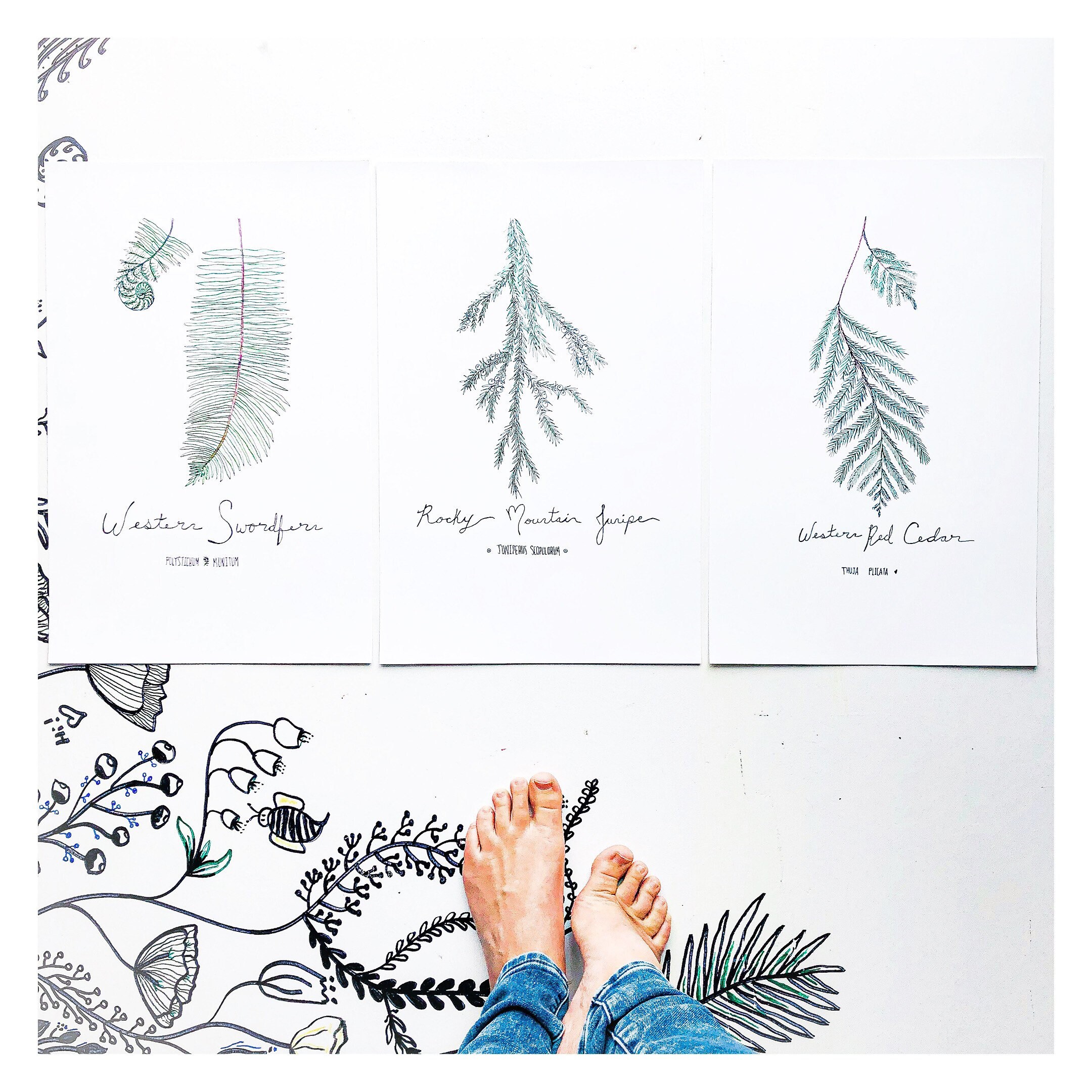 Botanical Prints SET OF 3 botanical illustration botanical | Etsy