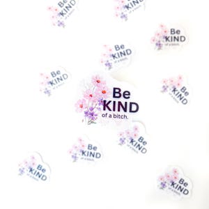 Be kind of a bitch, Profanität Aufkleber, Vinyl Aufkleber, lustiger Erwachsenen Aufkleber, Schimpfwort Aufkleber, Journal Aufkleber, Wasserflasche Aufkleber, schwören