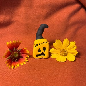 Funky little pumpkin