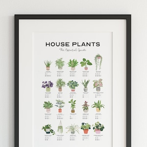 Indoor Plant Guide, House Plants Poster, Houseplants Print, Botanical Wall Art, Plant Art, Plant Guide, Gardening Gift, Plant Lover Gift