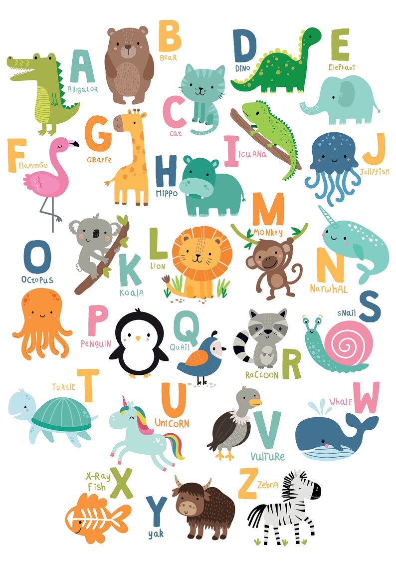 Illustrated Animal Alphabet Poster Alphabet Poster Etsy