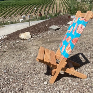 Baby beach sale chairs