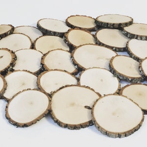 May include: A pile of round, natural wood slices with bark edges. The wood is light brown and the bark is a darker brown. The slices are various sizes and are arranged in a random pattern.