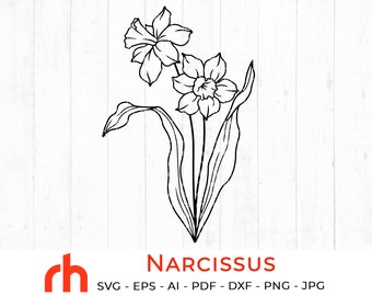 Free Free 231 Narcissus Flower Svg SVG PNG EPS DXF File