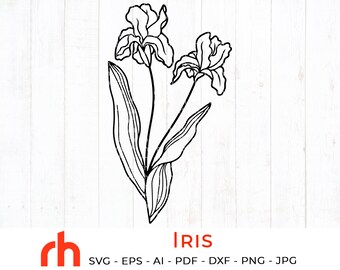 Free Free 67 Iris Flower Svg SVG PNG EPS DXF File