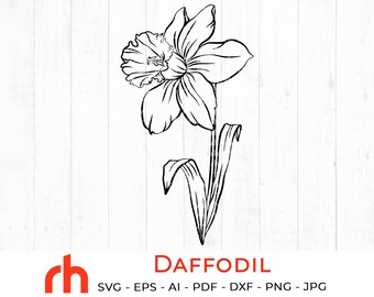 Download Narcissus Svg Etsy