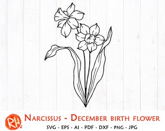 Free Free 112 Narcissus Flower Svg SVG PNG EPS DXF File