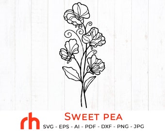 Download Sweet Pea Svg Etsy