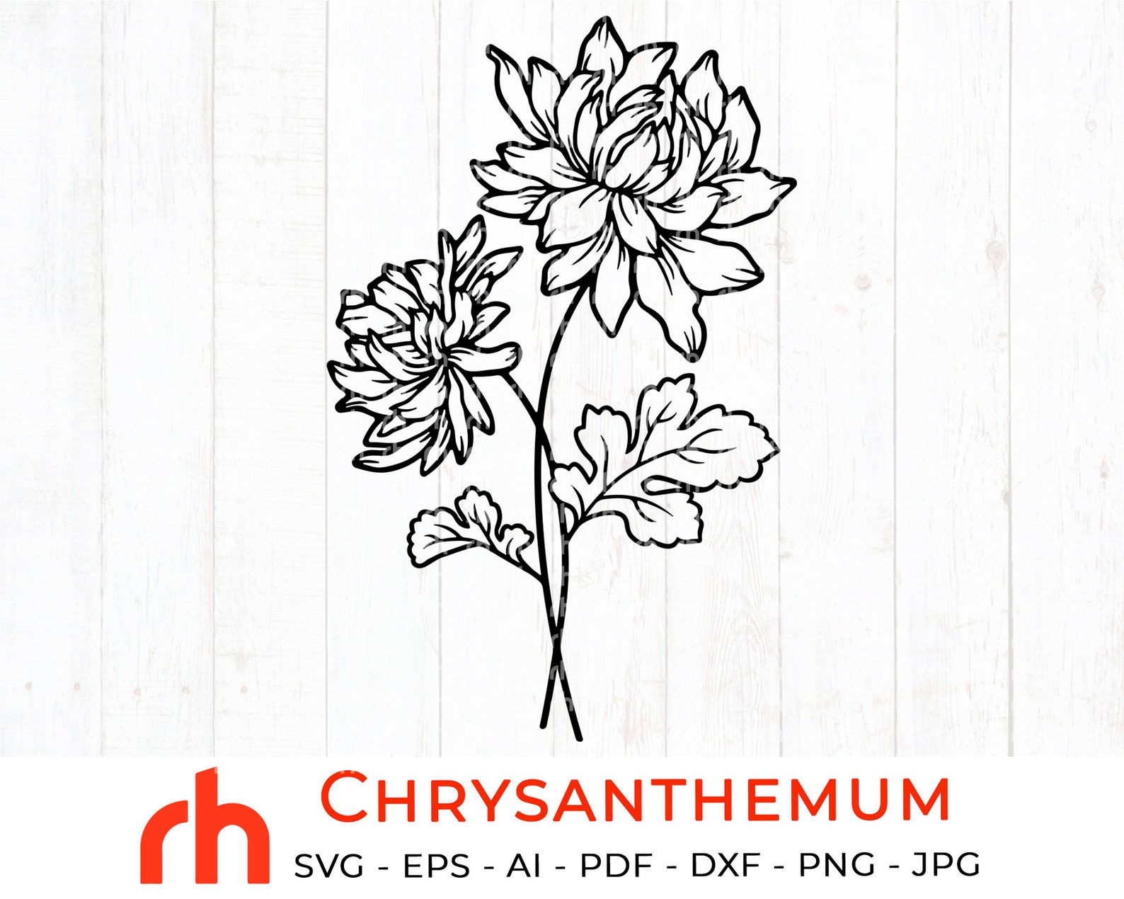 Chrysanthemum svg November birth flower svg Chrysanthemum | Etsy