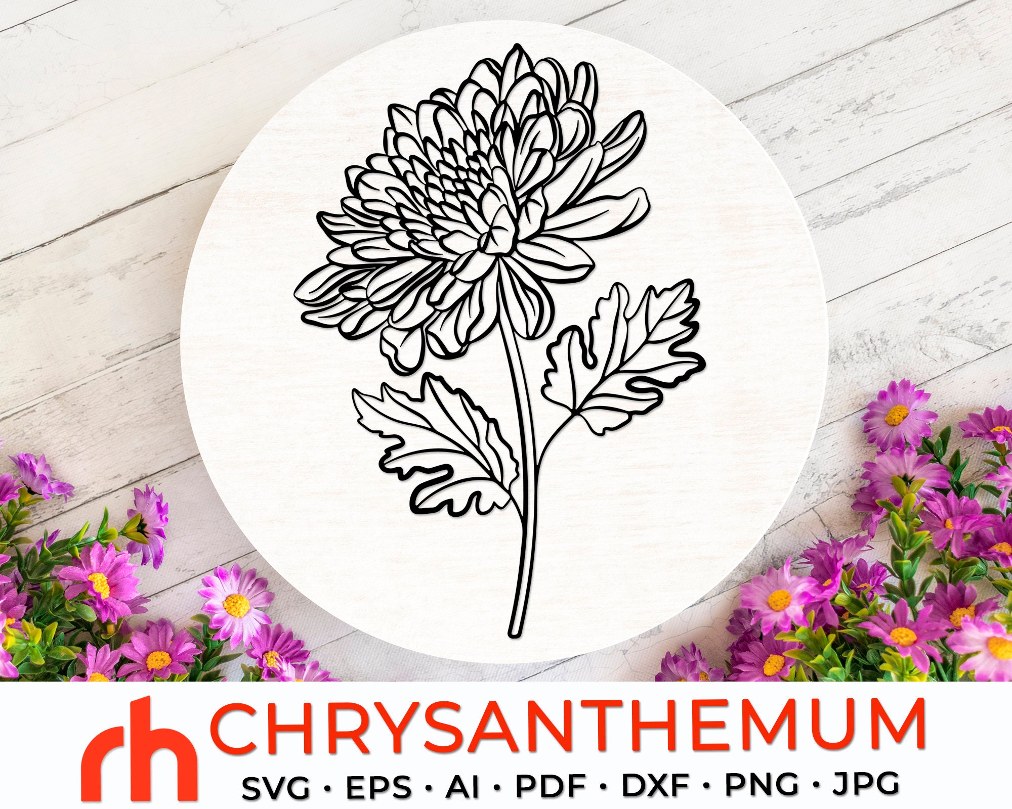 Chrysanthemum SVG Scorpio Flower Cut File November Birth Etsy Australia
