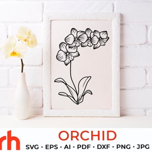 Orchidea SVG, file di taglio del fiore dello Scorpione, fiore di nascita di novembre DXF, disegno zodiacale PDF, contorno di Phalaenopsis, vettore della pianta del mese