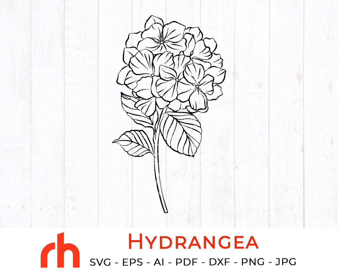 Hydrangea Svg Hydrangea Outline Svg Hydrangea Cut File | Etsy
