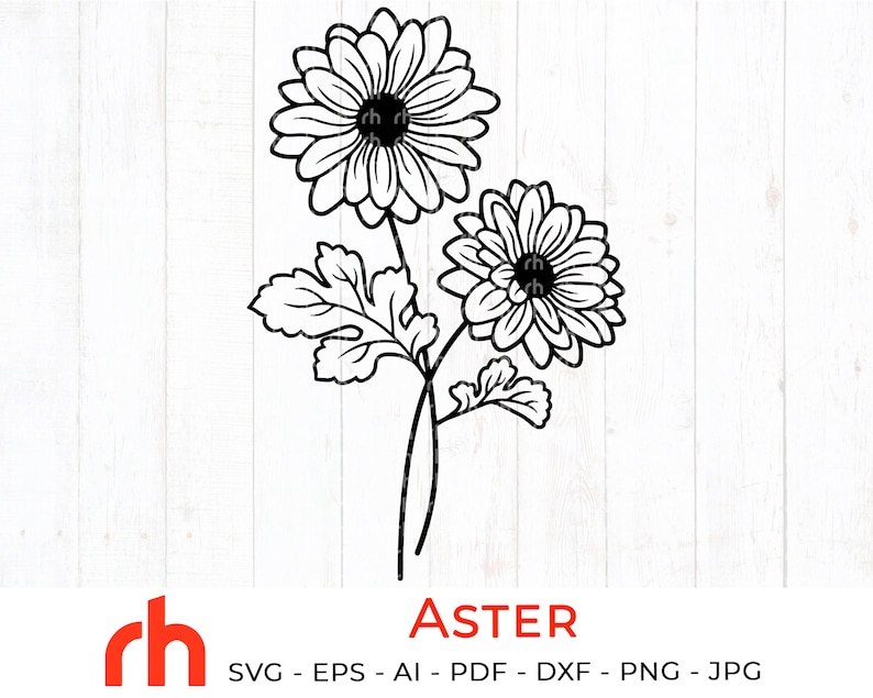 Morning Glory Svg Aster Svg September Birth Month Flo - vrogue.co