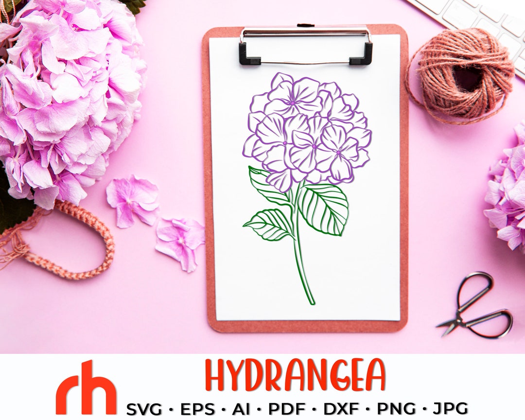 Hydrangea SVG, Hortensie Cut File, Garden Flower DXF, Hydrangea Outline ...