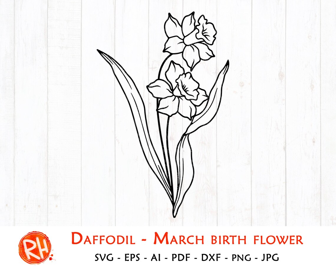 Daffodil svg March birth flower svg Narcissus silhouette Etsy