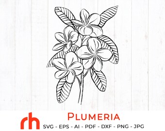 Plumeria Silhouette Etsy