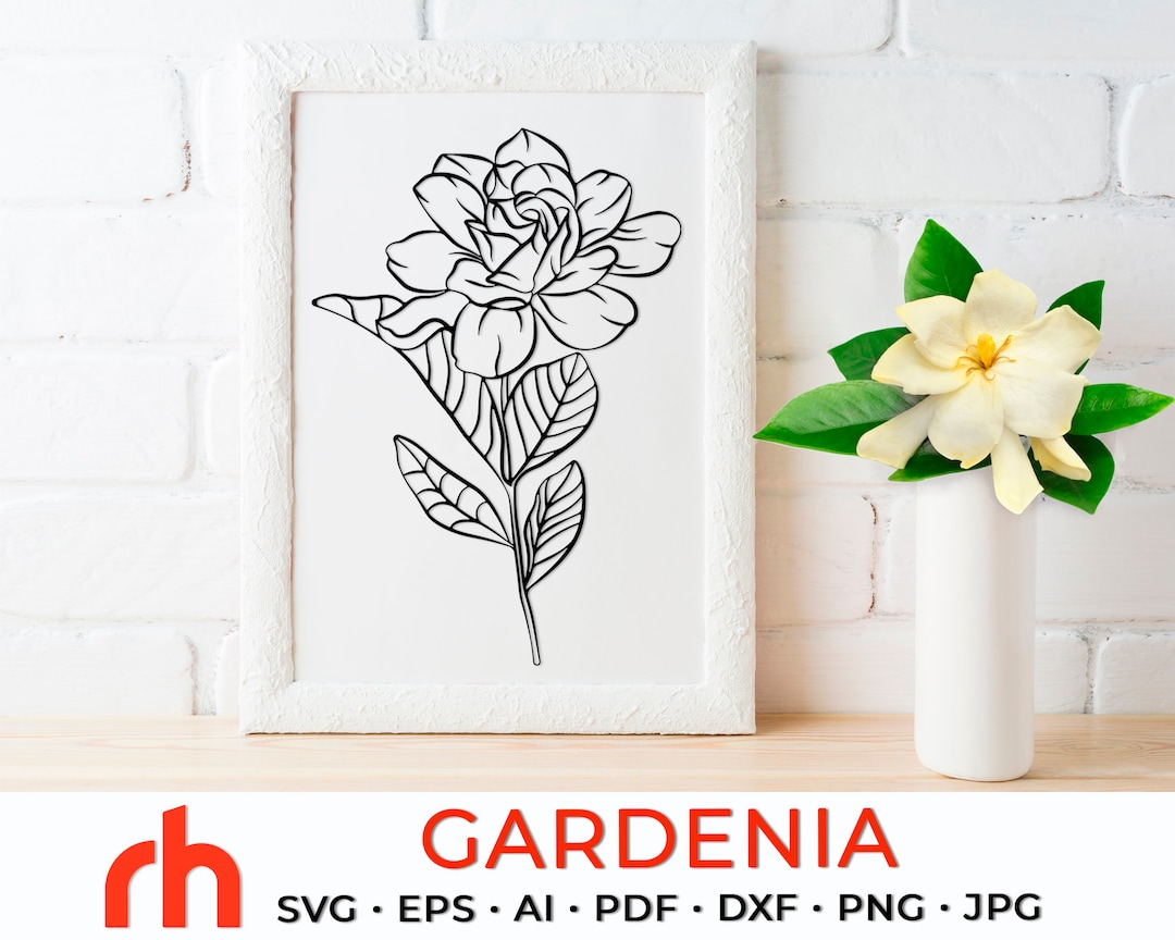 Gardenia SVG, Garden Flower Cut File, Summer Pant DXF, Tropic