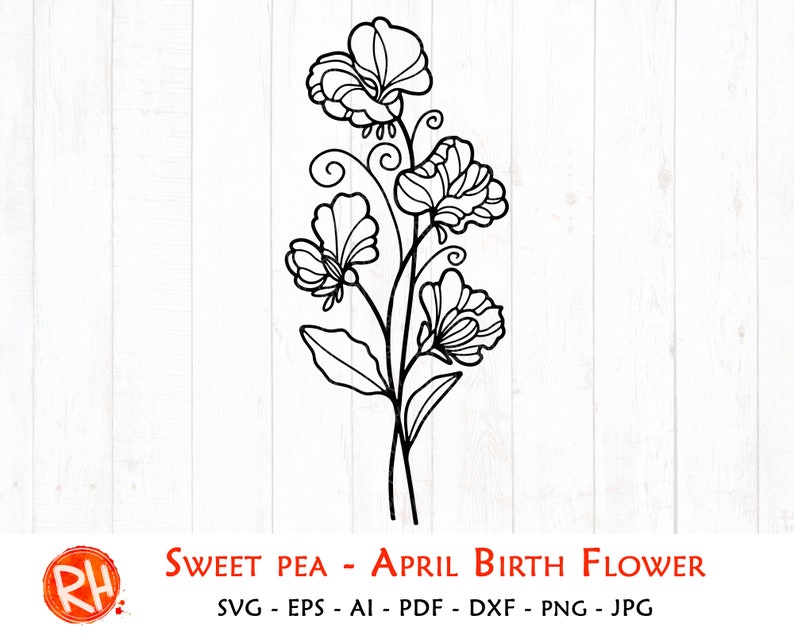 Sweet pea svg April birth flower svg Sweet pea silhouette | Etsy