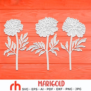 Calêndula SVG, arquivo de corte de calêndula, planta de nascimento em outubro DXF, flor em camadas, silhueta de flor de Libra