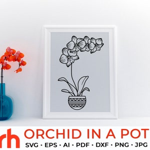 Orchidée dans un pot SVG, fichier de coupe de plante d'intérieur, contour de Phalaenopsis en pot, fleur de Scorpion PDF, fleur de naissance de novembre DXF, vecteur végétal du mois