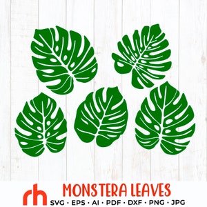 Monstera Blätter SVG, Dschungel Blatt Silhouette, Grün DXF, Tropische Pflanzen Vektor