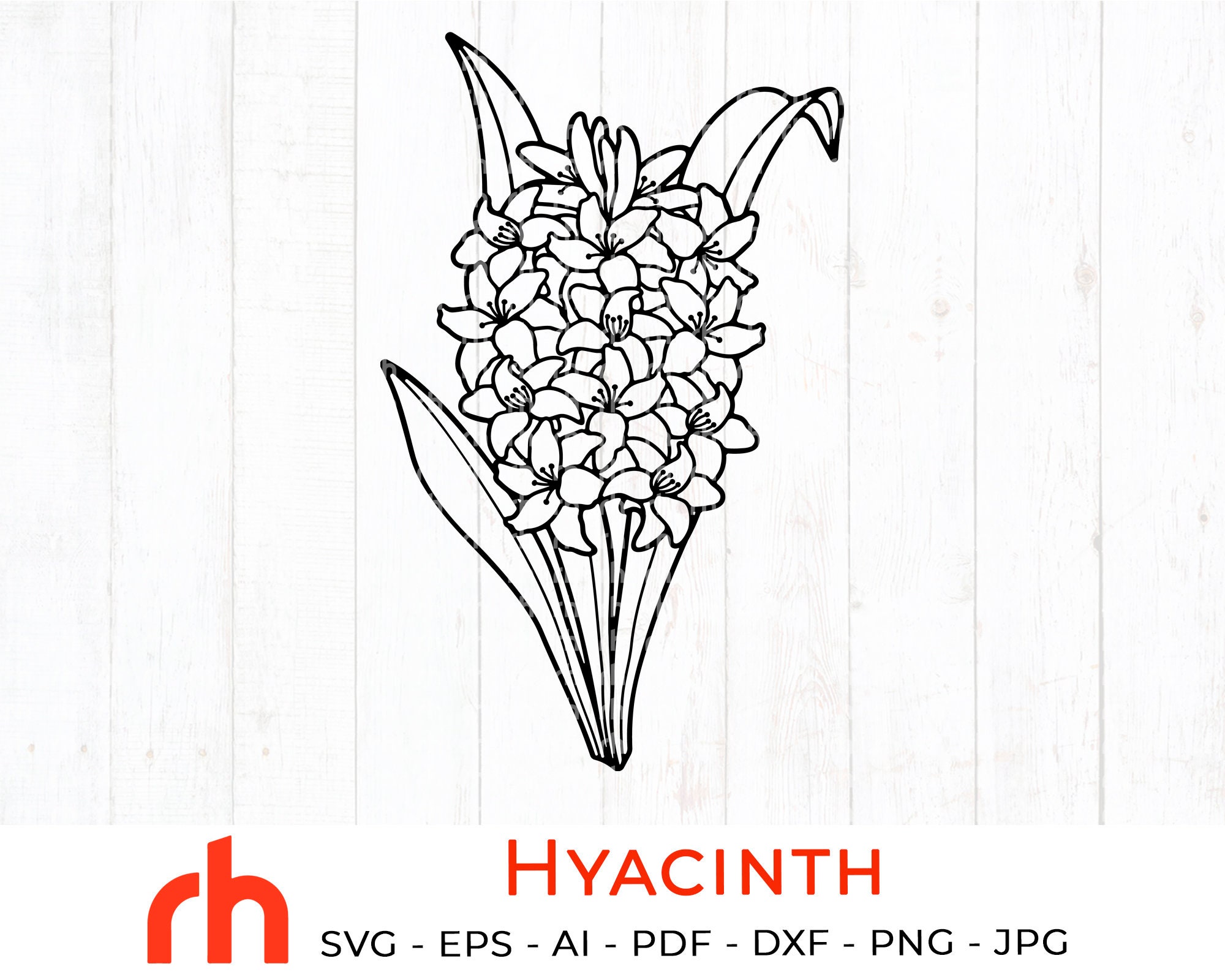 Hyacinth Cut File May Birth Flower Svg Etsy