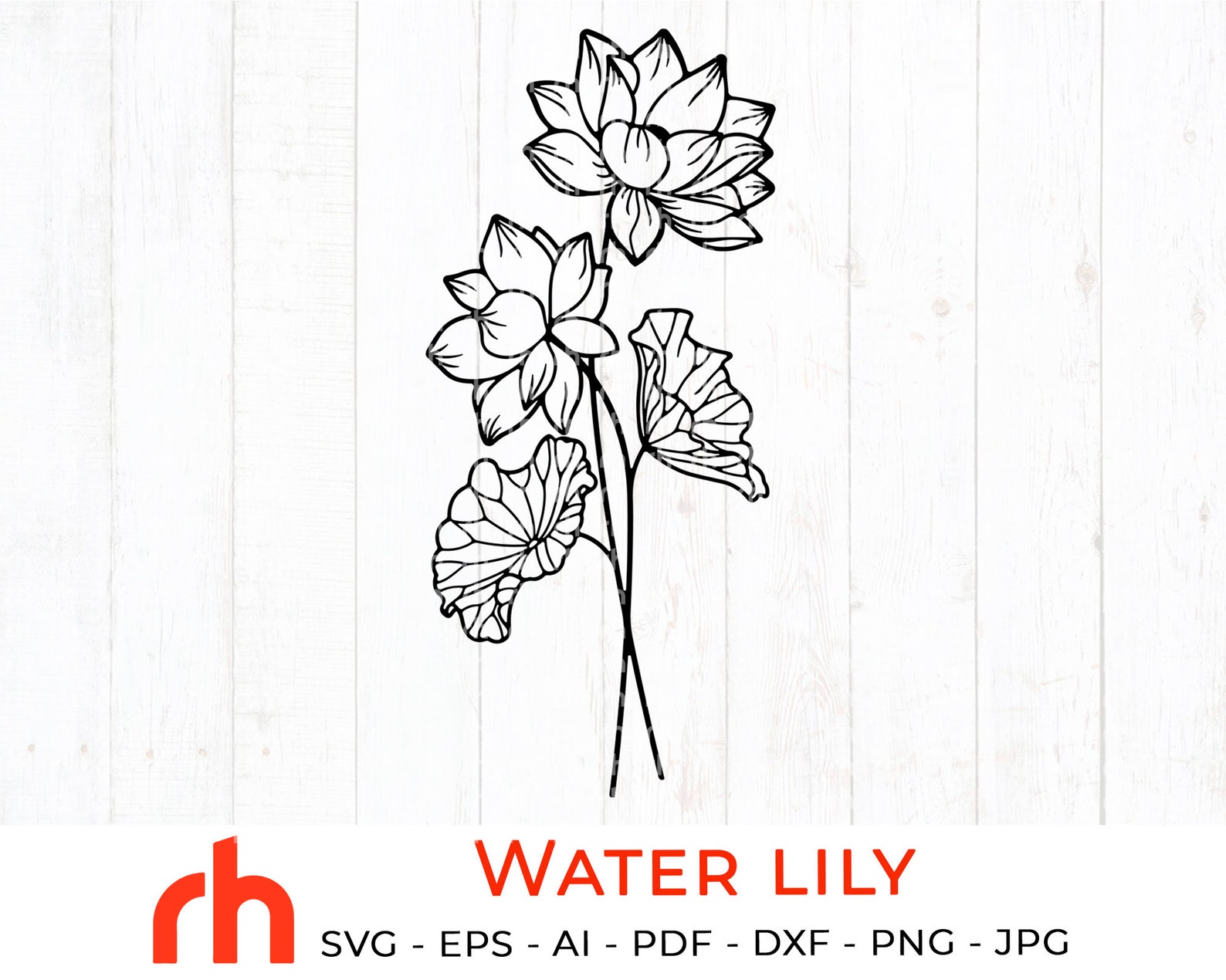 Water lily svg July birth flower svg Water lily silhouette Etsy