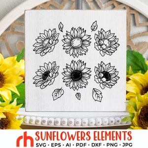 Elementos de girasoles SVG, archivo de corte de paquete de flores, diseño floral DXF, vector de girasol, contorno de flores