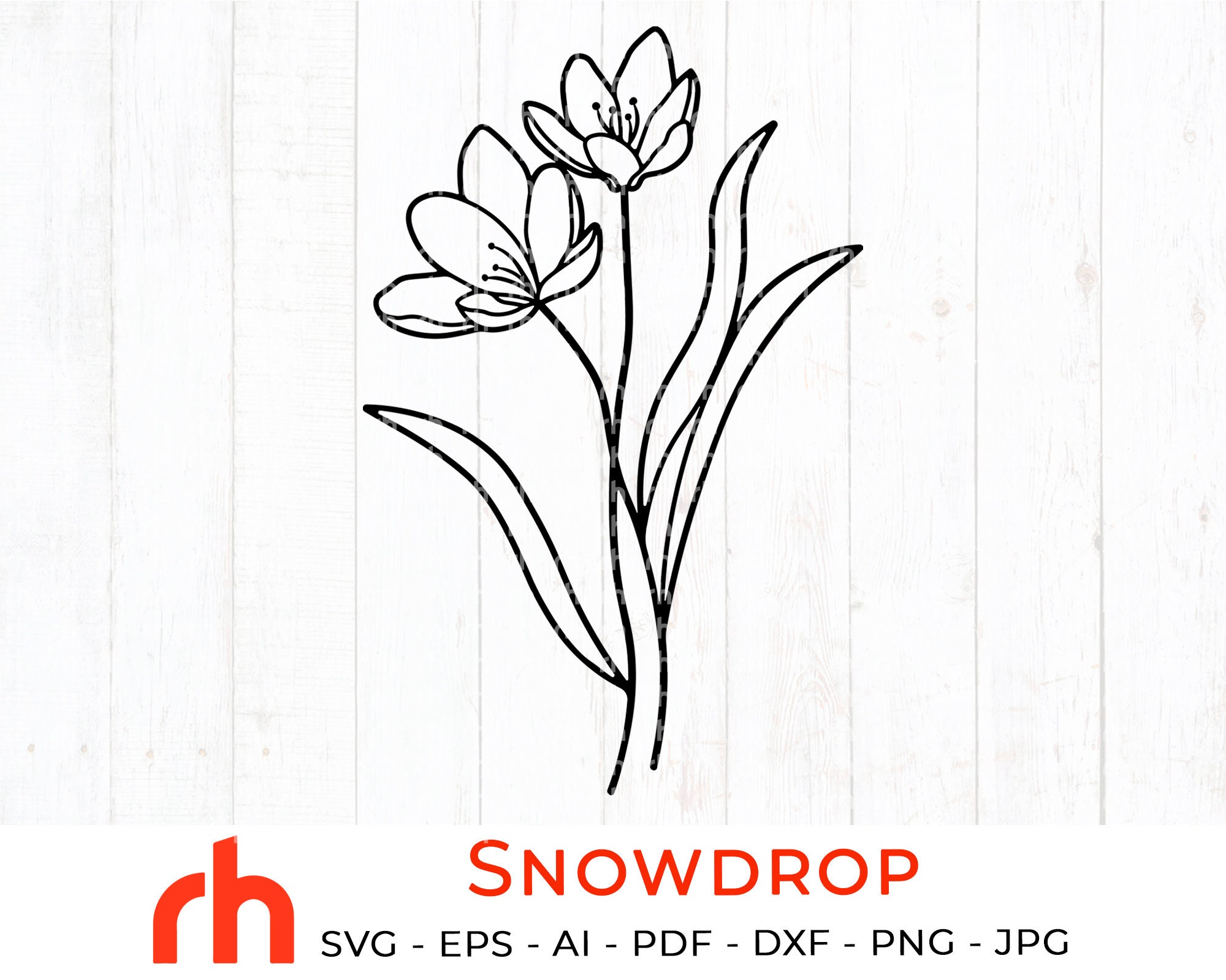Snowdrop svg January birth flower svg Snowdrop silhouette | Etsy