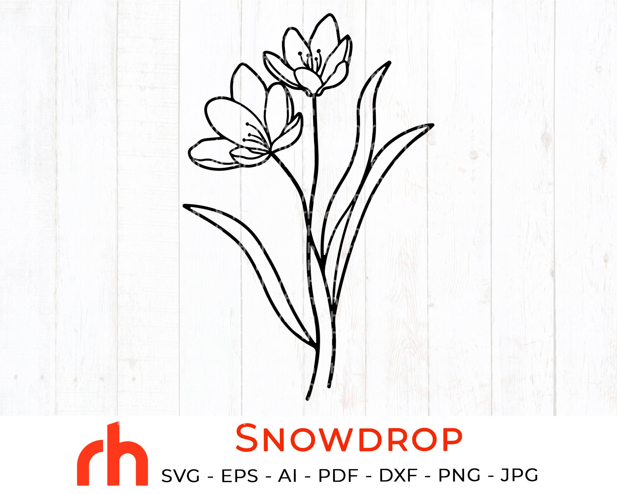 Free Free Snowdrop Svg 582 SVG PNG EPS DXF File