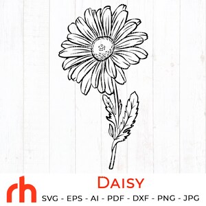 Daisy svg April birth flower svg Chamomile silhouette | Etsy