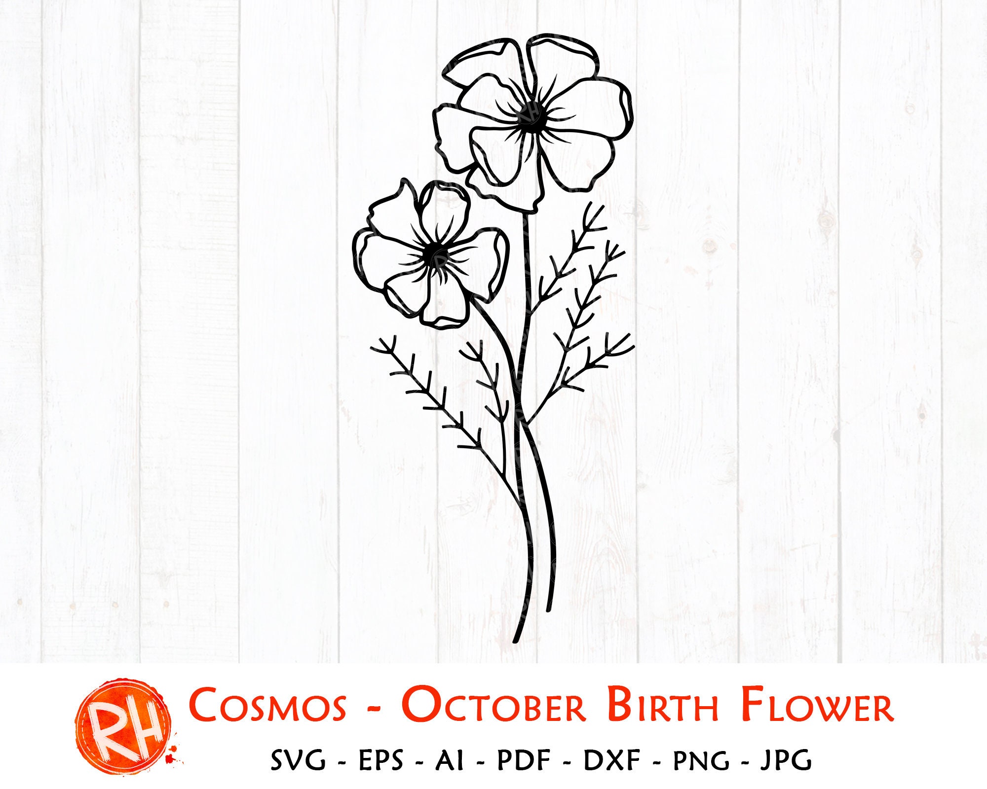 Cosmos flower svg October birth flower svg Сosmos flower | Etsy