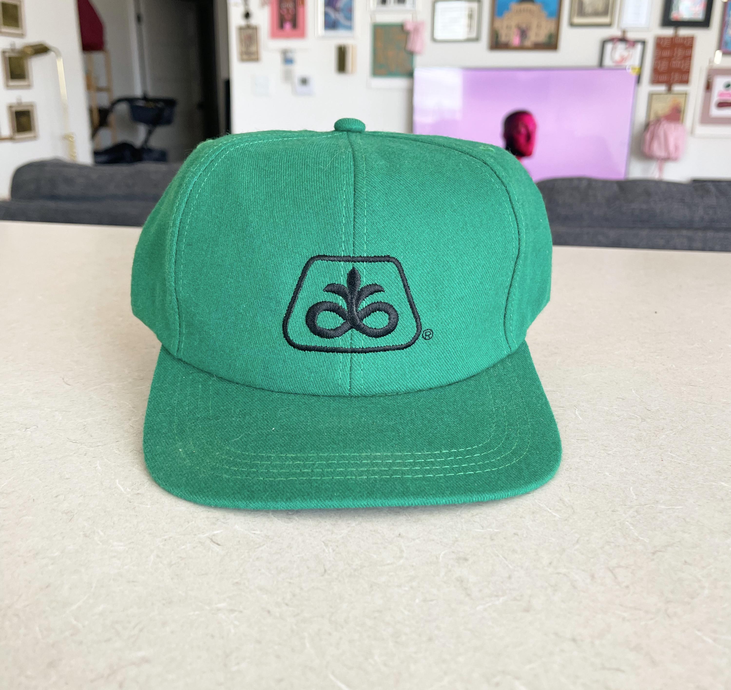 Vintage Pioneer Seeds Technology That Yields Snapback Hat